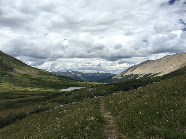 The Revolutionary Class